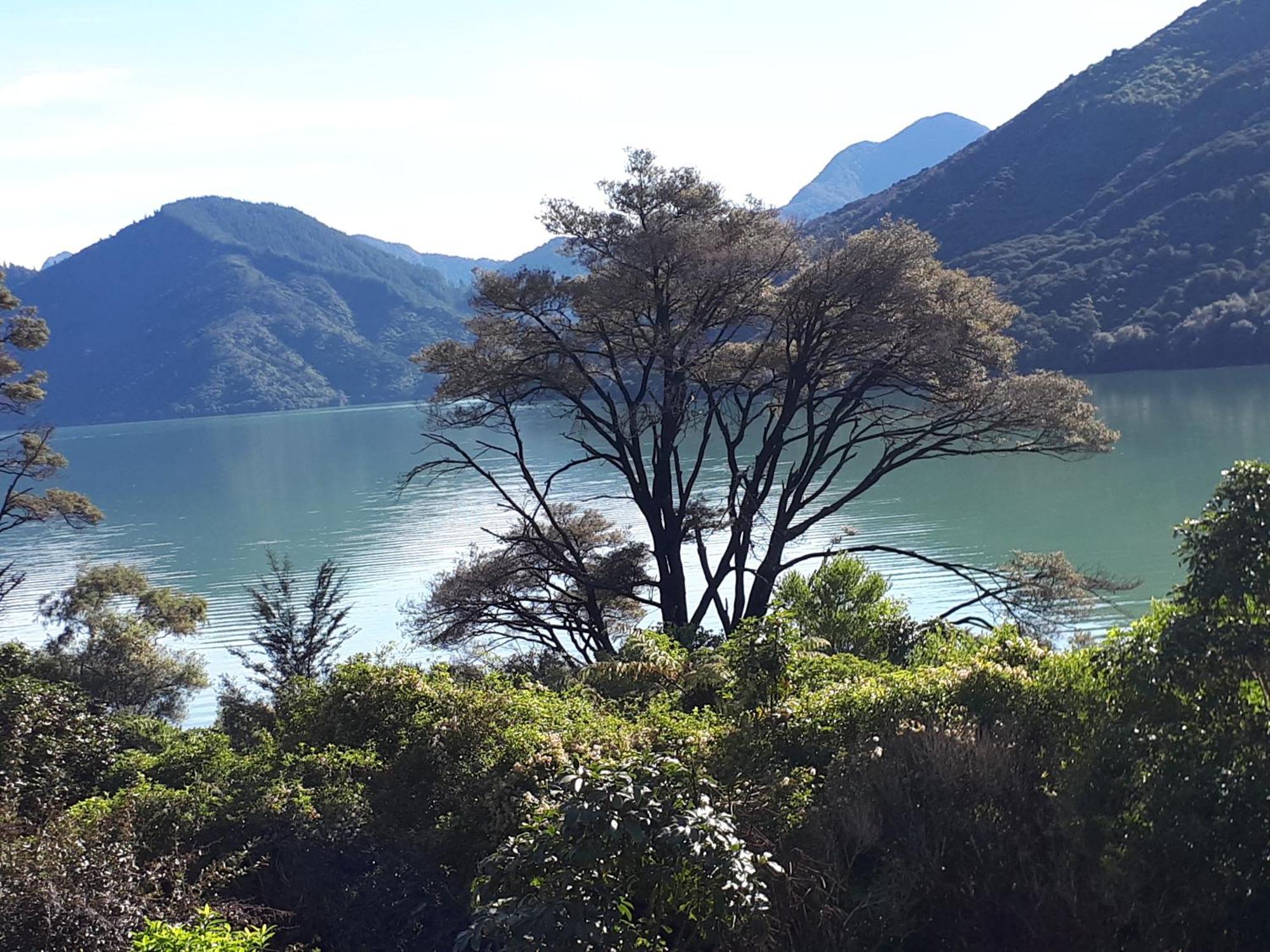 Marlborough Sounds Accommodation Гевлок Екстер'єр фото