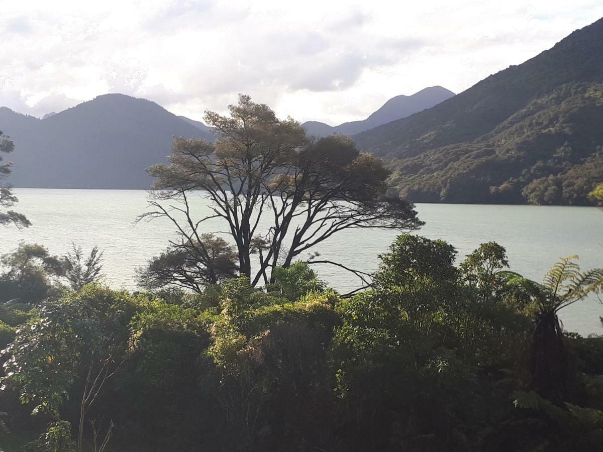 Marlborough Sounds Accommodation Гевлок Екстер'єр фото
